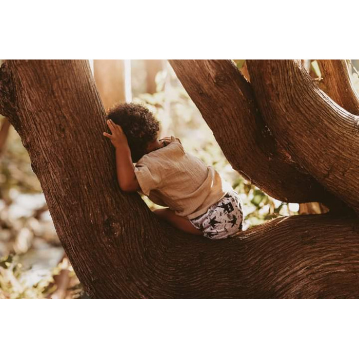 LKC Switch TED Signature (3 - 14 kg)