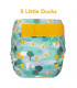 TED: Peenut Wrap + Pad