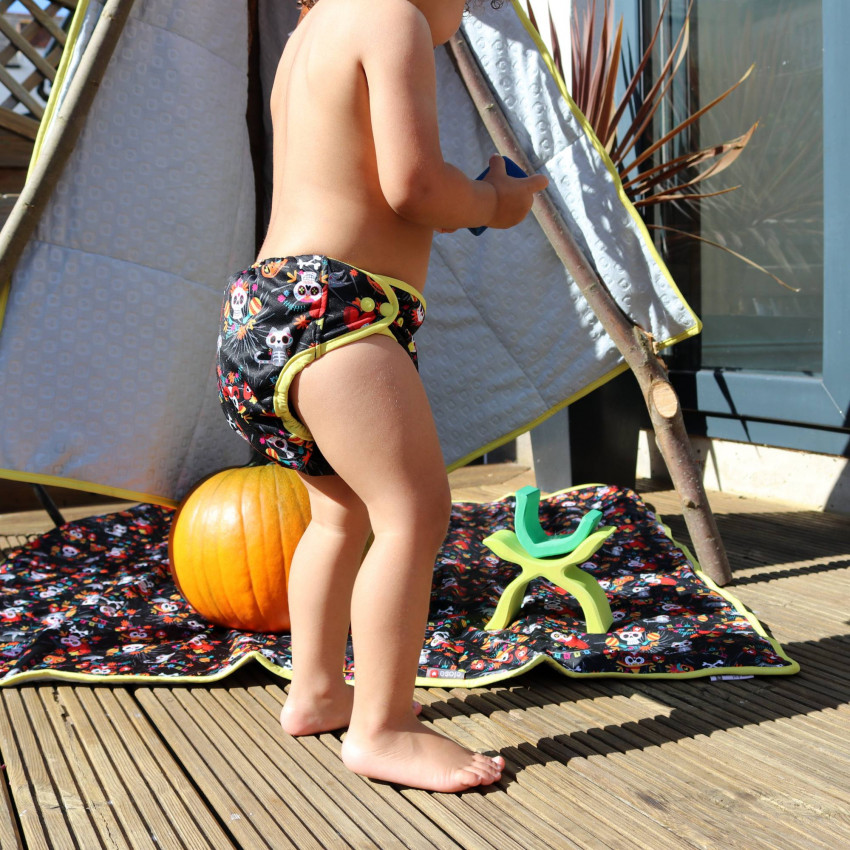 TED HTF y edición limitada: Snap o Velcro