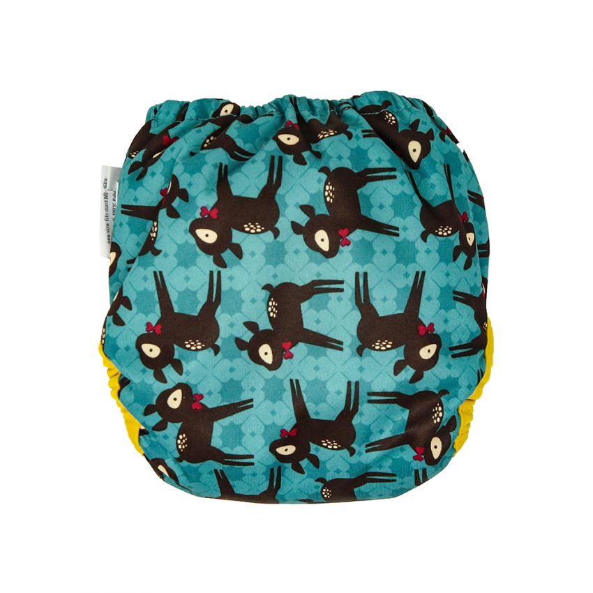 TED HTF y edición limitada: Snap o Velcro