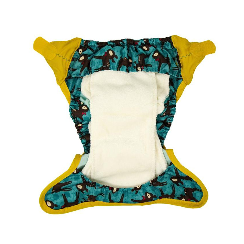 TED HTF y edición limitada: Snap o Velcro