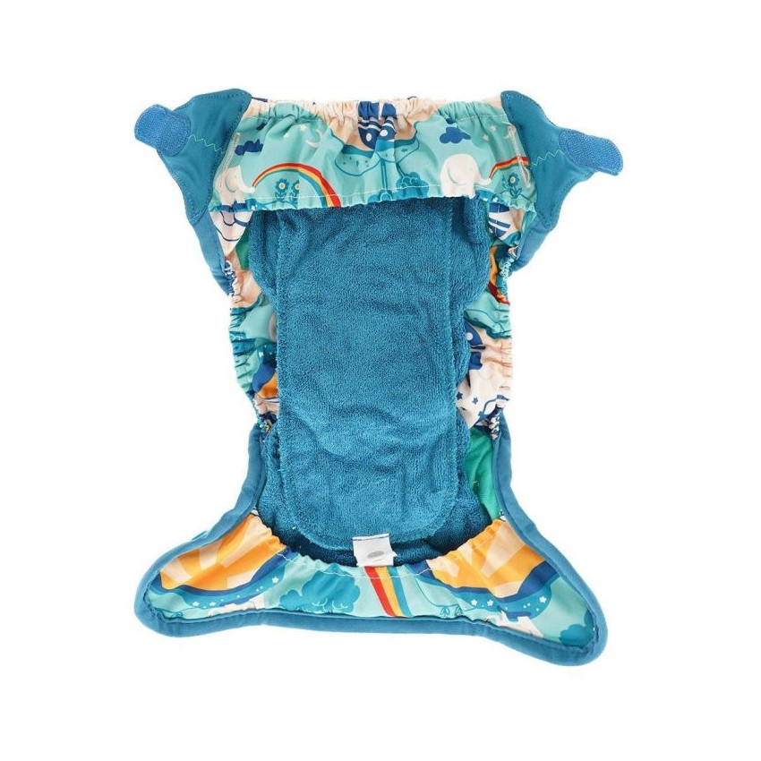 TED HTF y edición limitada: Snap o Velcro